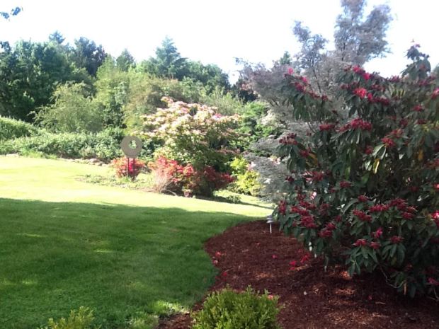 Rustic wedding, deal, promo, promotion, Oregon Weddings, Portland Weddings, Unique event venue